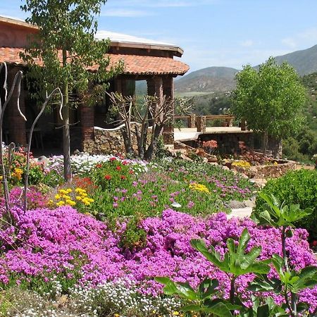 Quinta Maria En La Ruta Del Vino Panzió Valle de Guadalupe Kültér fotó