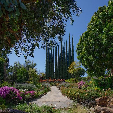 Quinta Maria En La Ruta Del Vino Panzió Valle de Guadalupe Kültér fotó