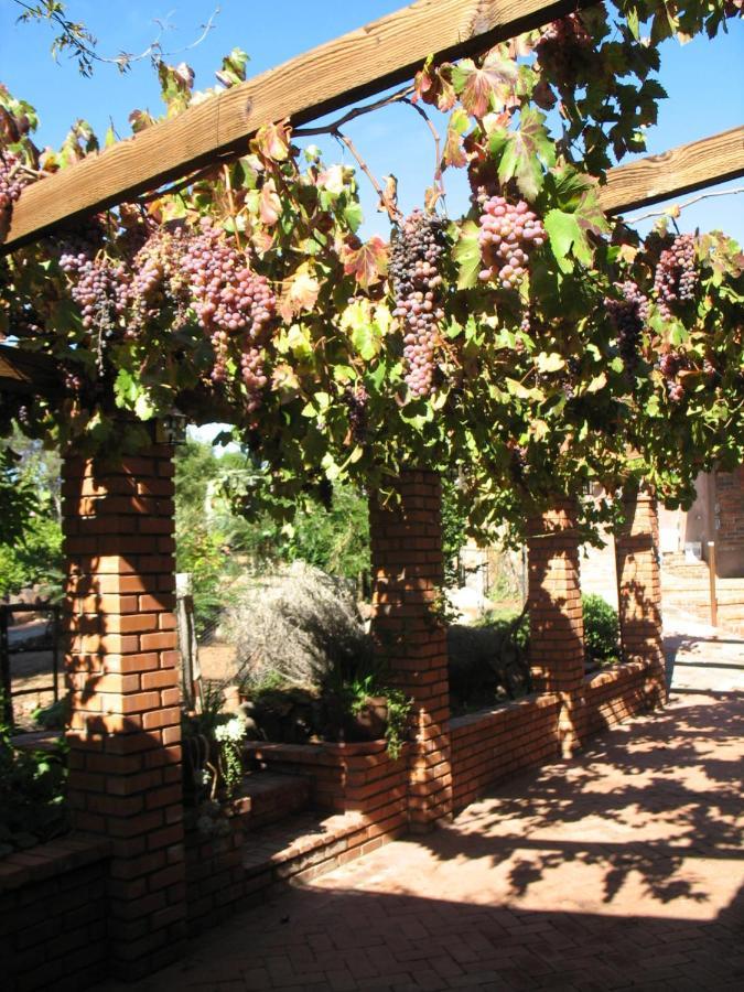 Quinta Maria En La Ruta Del Vino Panzió Valle de Guadalupe Kültér fotó