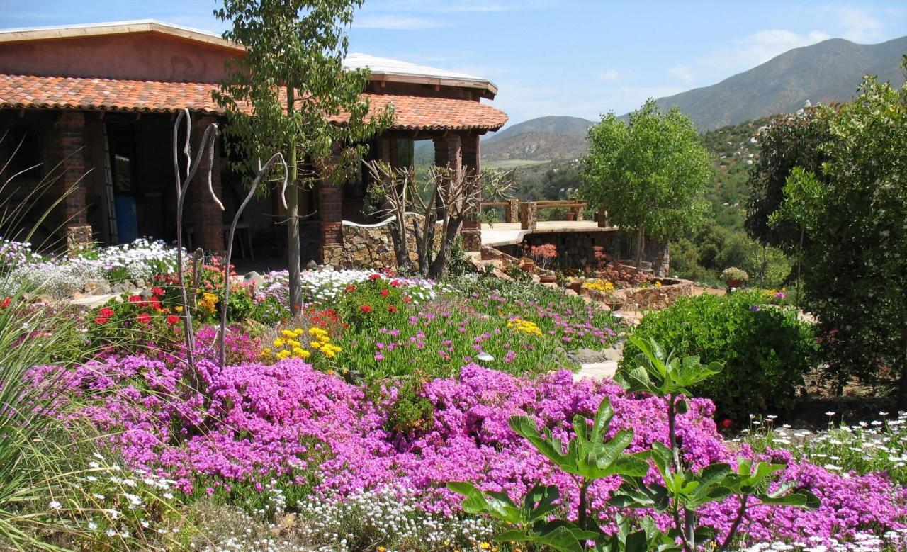 Quinta Maria En La Ruta Del Vino Panzió Valle de Guadalupe Kültér fotó