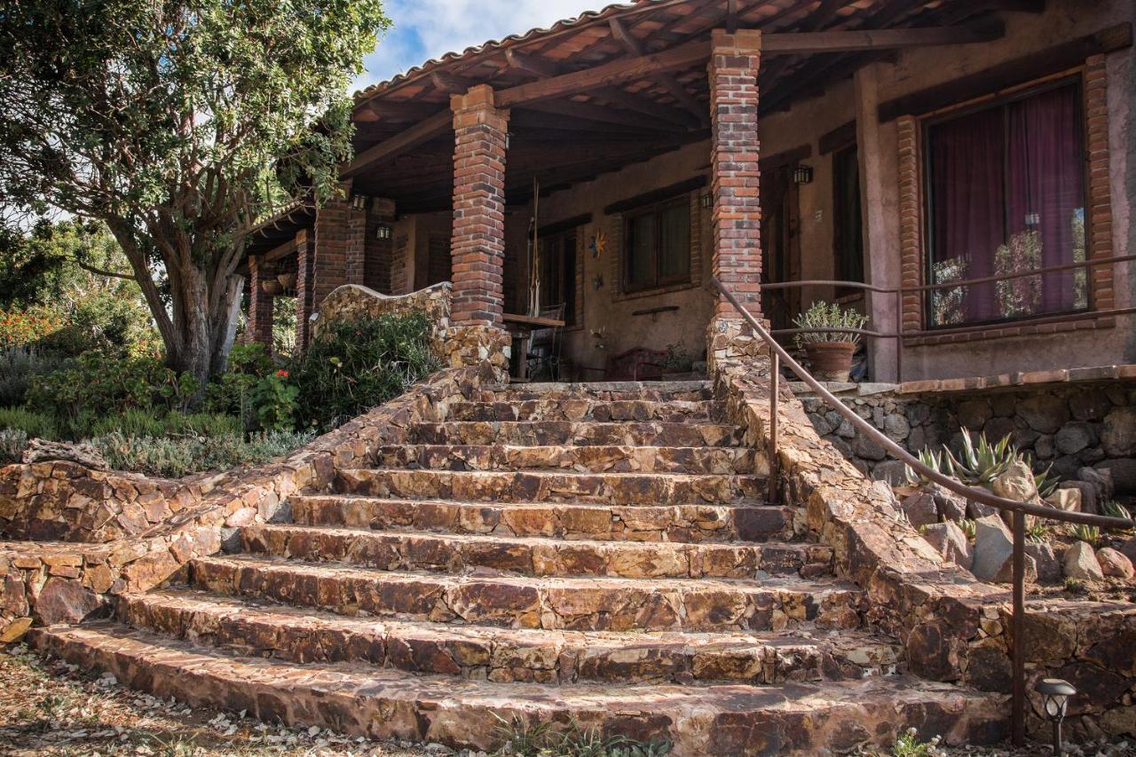 Quinta Maria En La Ruta Del Vino Panzió Valle de Guadalupe Kültér fotó