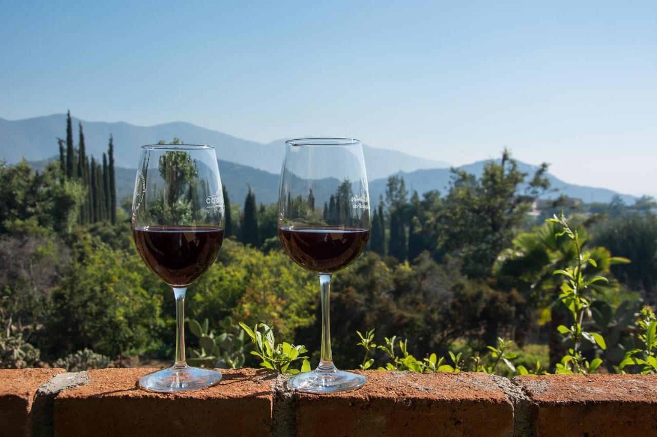 Quinta Maria En La Ruta Del Vino Panzió Valle de Guadalupe Kültér fotó