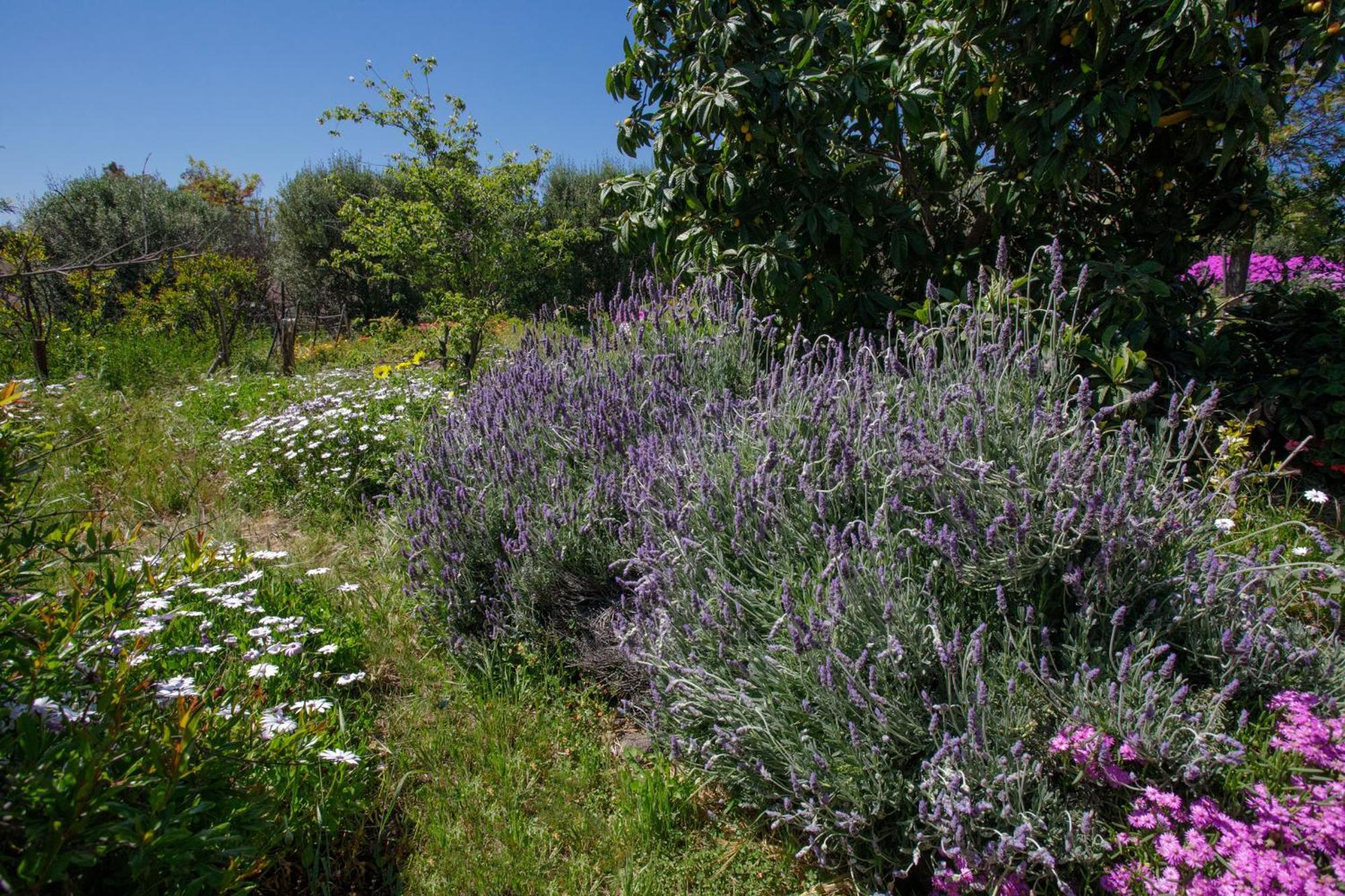 Quinta Maria En La Ruta Del Vino Panzió Valle de Guadalupe Kültér fotó