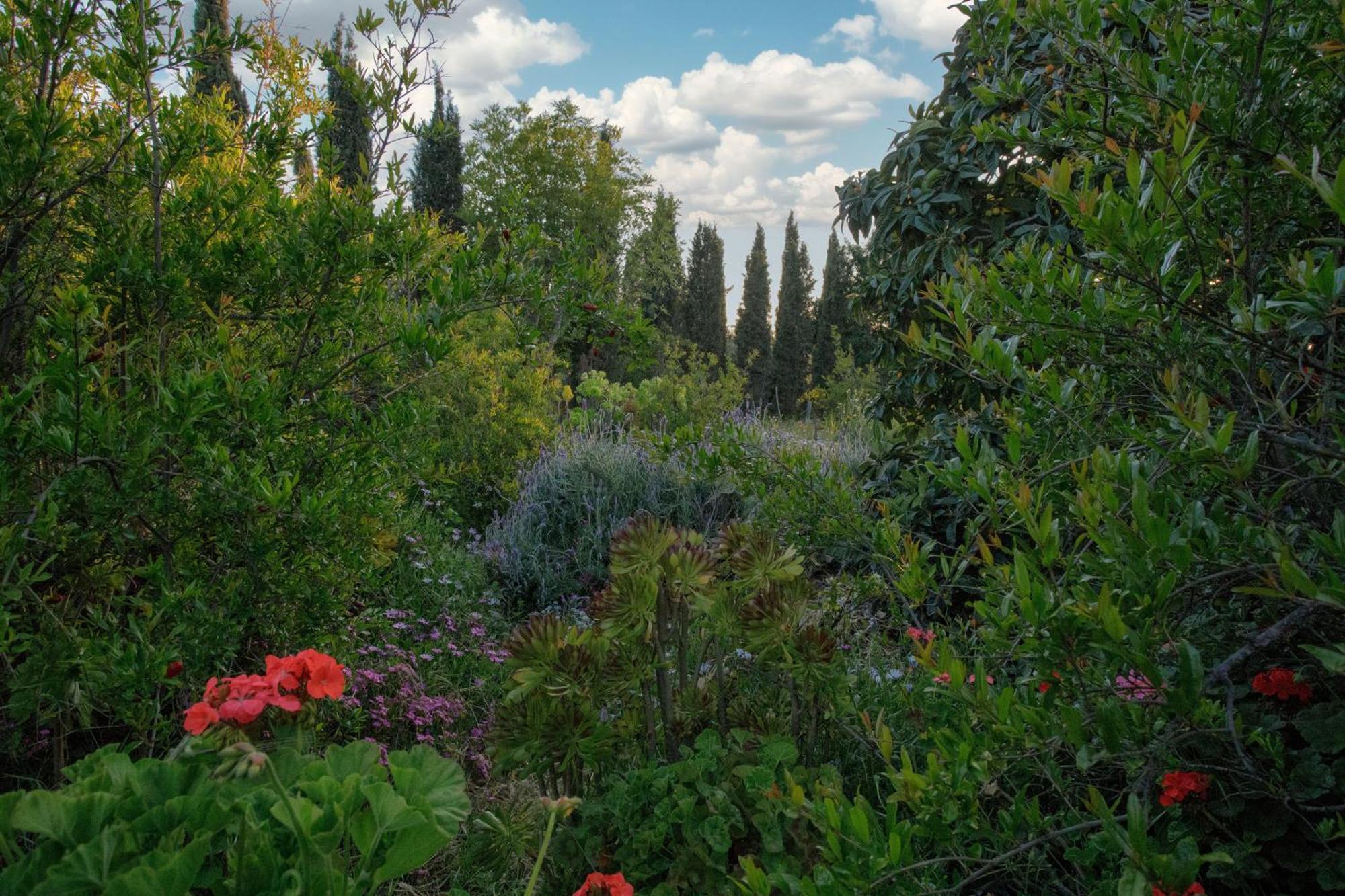 Quinta Maria En La Ruta Del Vino Panzió Valle de Guadalupe Kültér fotó