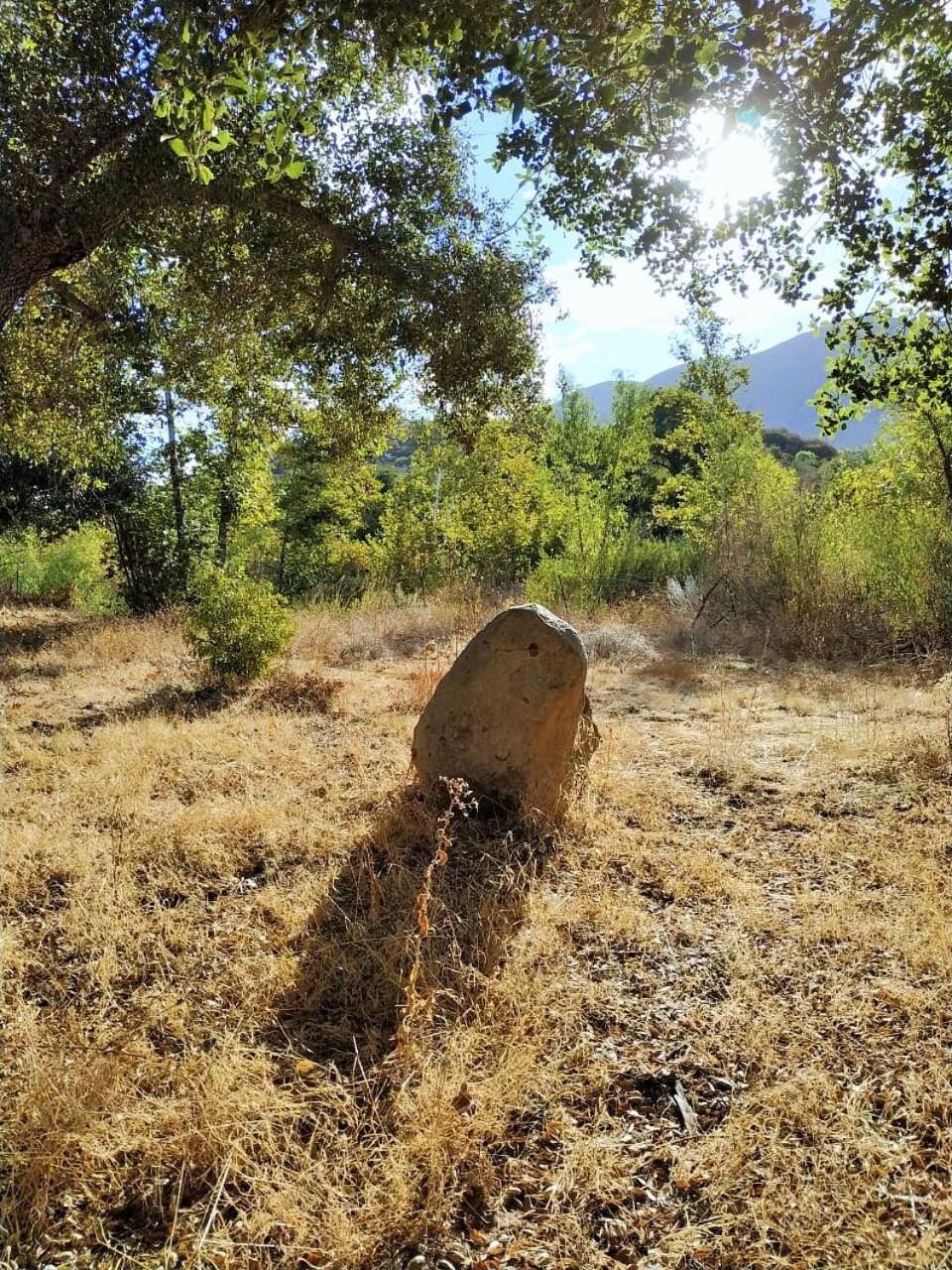 Quinta Maria En La Ruta Del Vino Panzió Valle de Guadalupe Kültér fotó